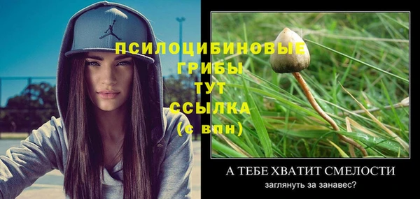 меф Нягань