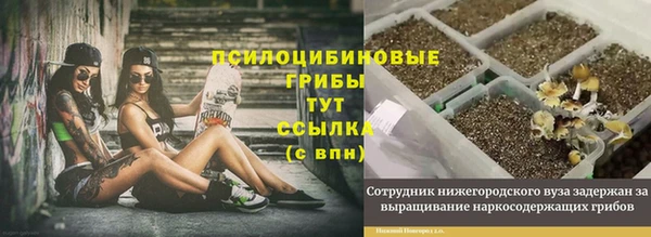 мескалин Няндома