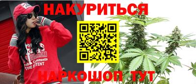 ALPHA PVP Гай