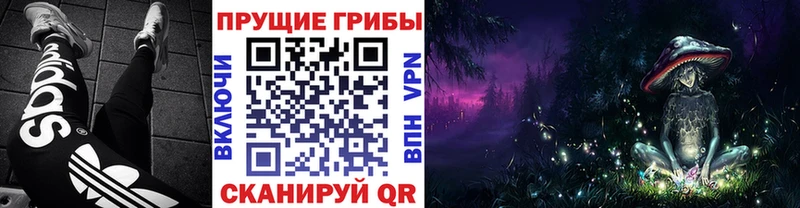 Псилоцибиновые грибы Magic Shrooms  гидра   Дербент  сколько стоит 