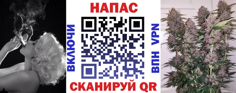 Шишки марихуана план Дербент